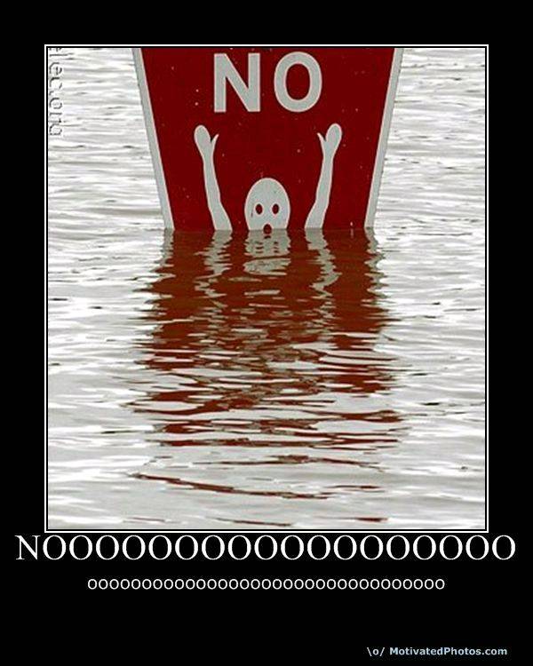 user31330 pic6999 1260400298