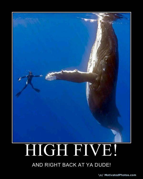 HIGHFIVE