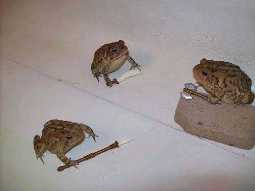 Battletoads 3D