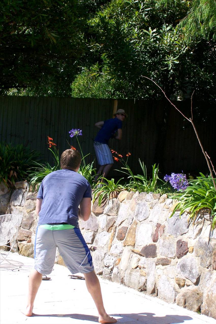 Back yard cricket