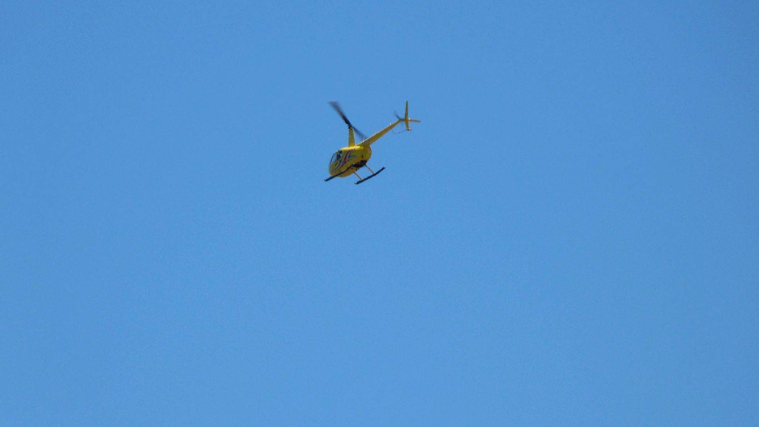 tried out my new Lumix FZ40