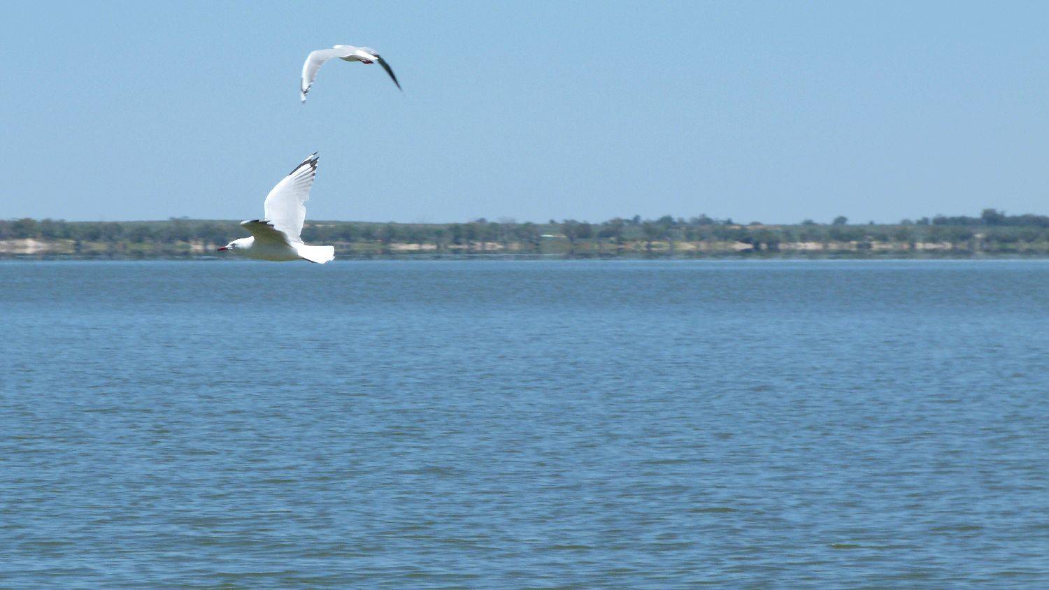 tried out my new Lumix FZ40