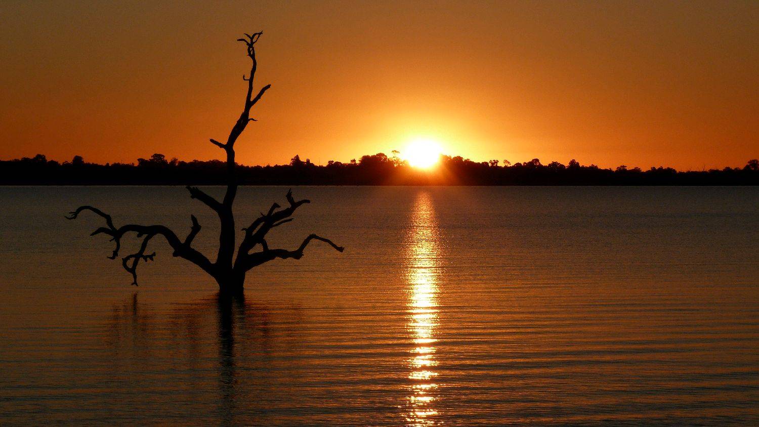 tried out my new Lumix FZ40