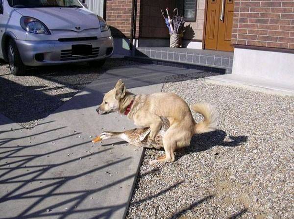 Someone for everyone