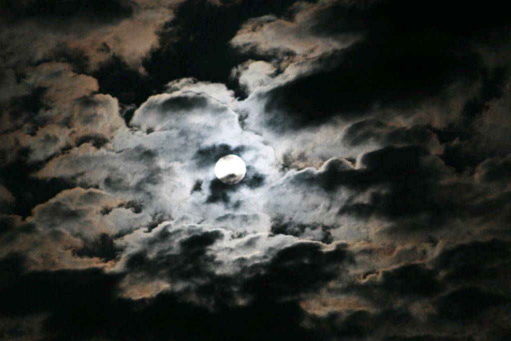 new batch to sort 092