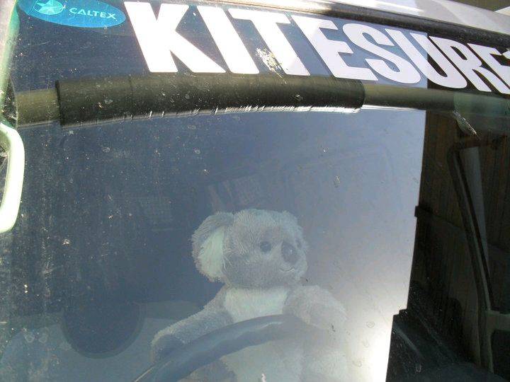 34750 1491481282532 1099010401 1397523 5042458 n