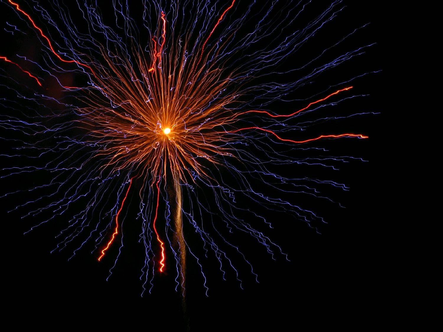 New Year's Eve 2009 022