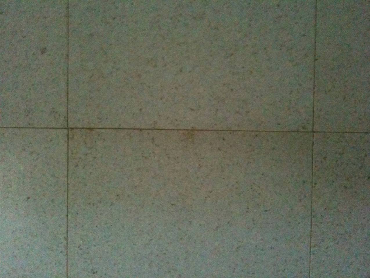 My lovely 'white' floor