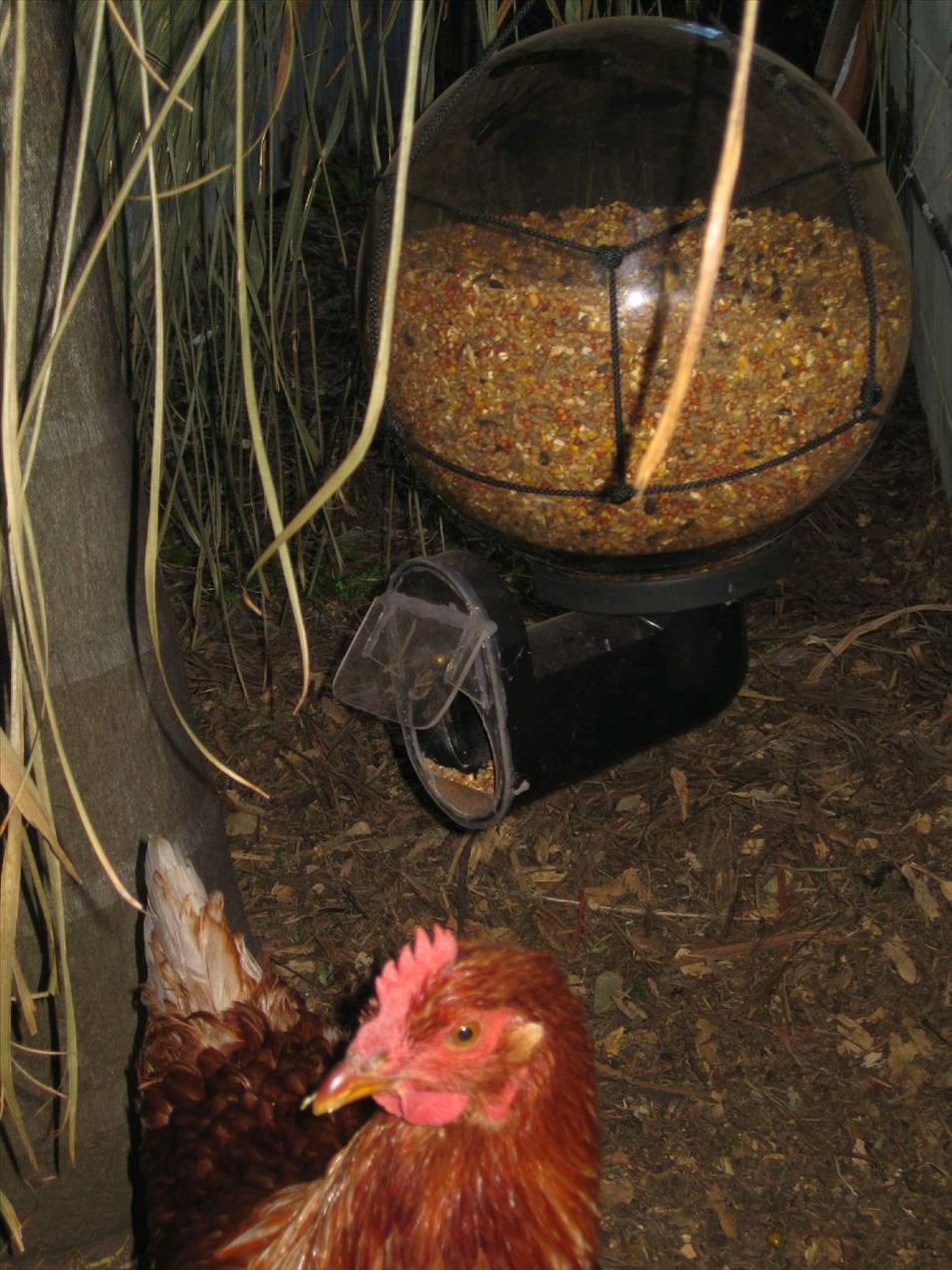 Feeder made from old light fitting