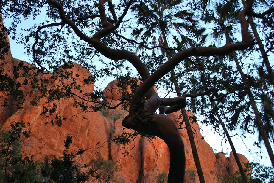 Ben and Liz wedding trip (875)