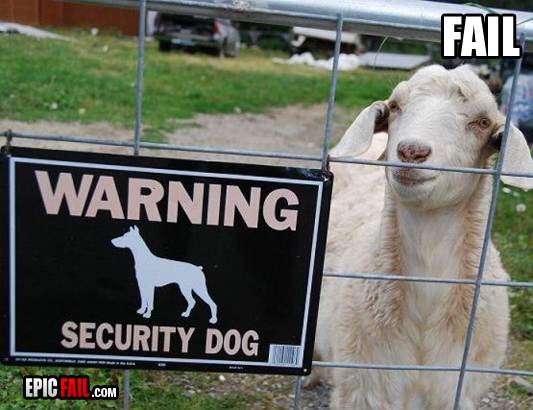 security-dog-fail-warning