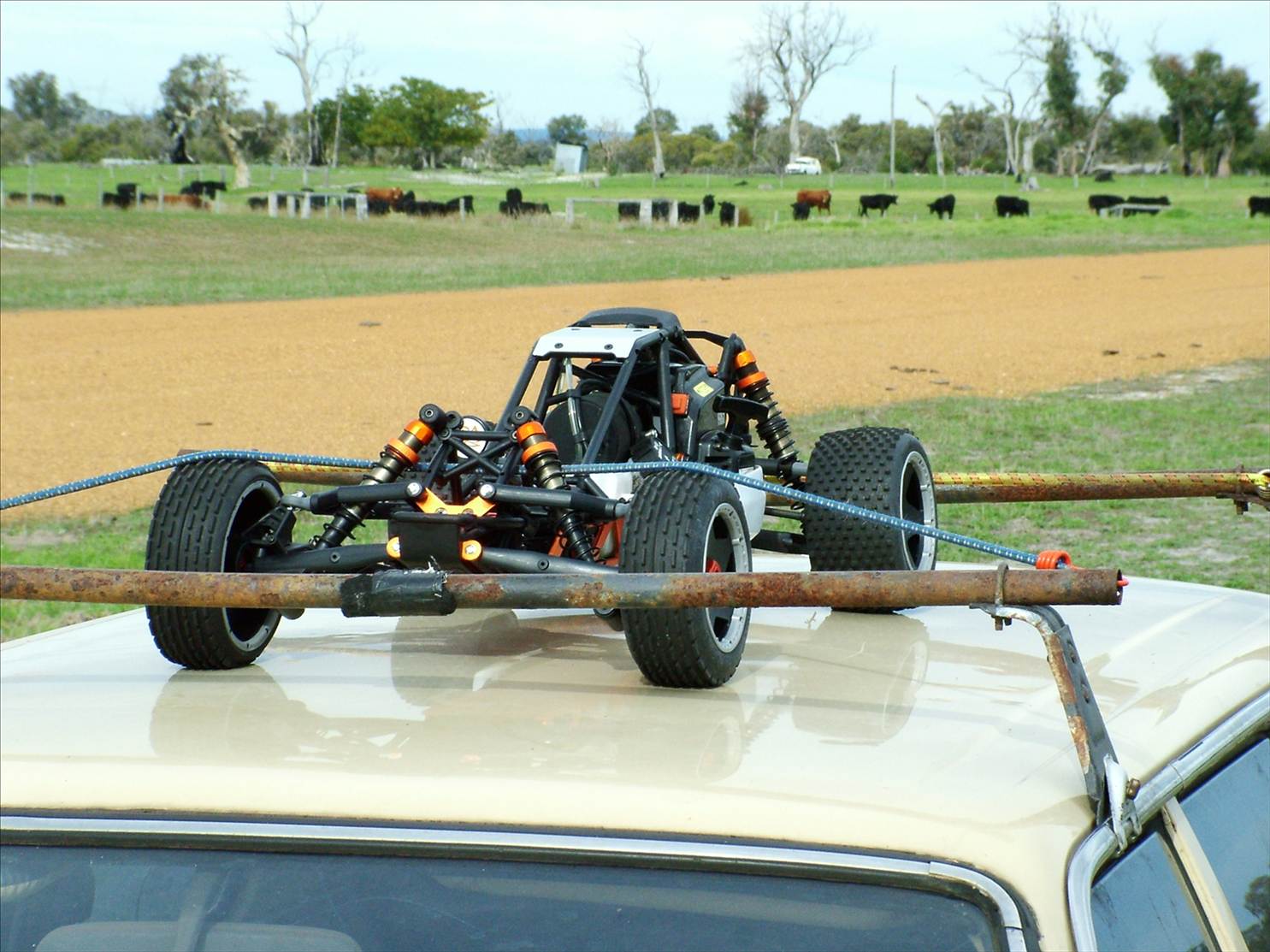 Useless but good fun junk I have bought.