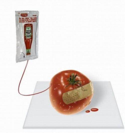 313118 183455061738045 171335199616698 383411 804299506 n