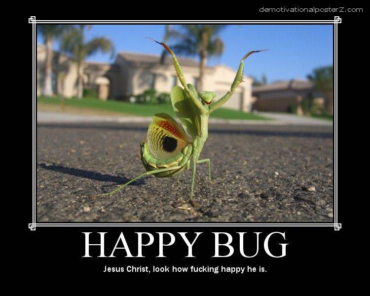 84817 happy bug 123 89lo