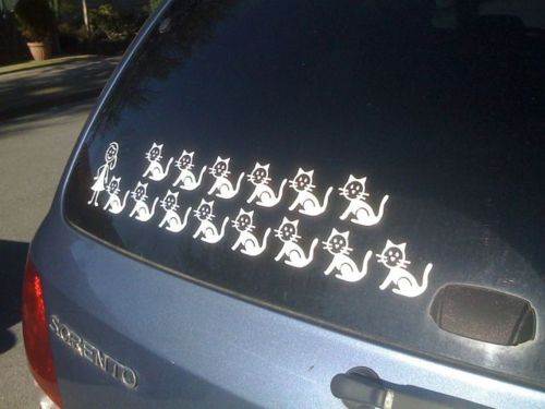 family-cat-decals