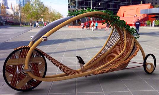 bamboo bike