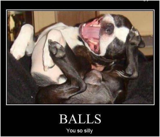 balls345