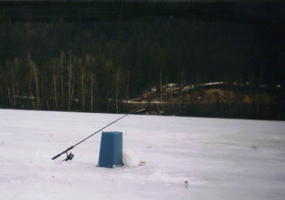 15-04-2012 4;11;46 PM