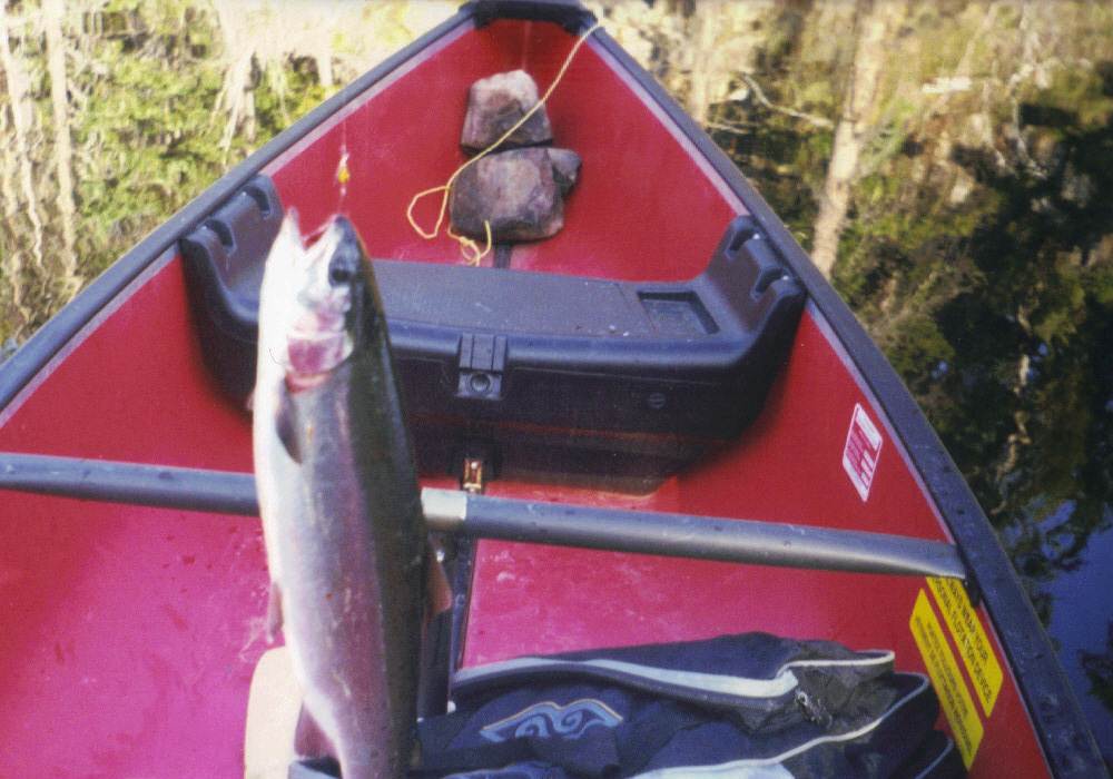 15-04-2012 4;11;28 PM