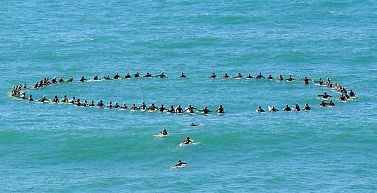 483998 459154857442394 1358292128 n