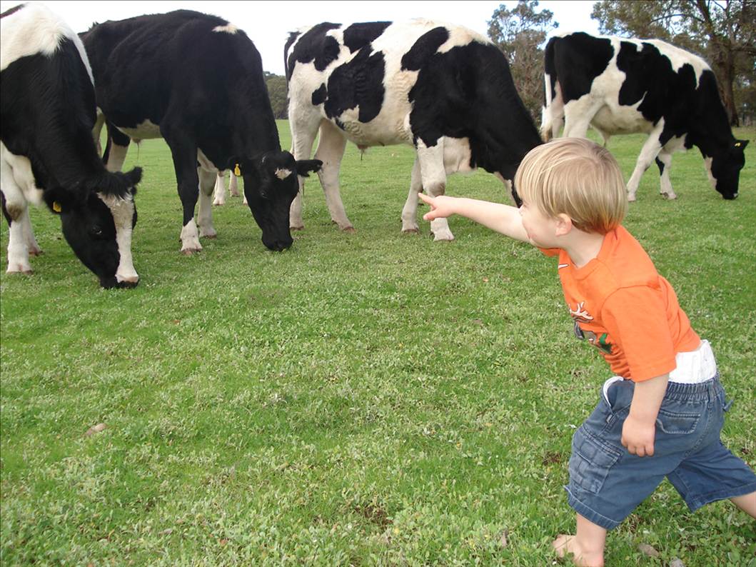 Farm trip Jul 09 086