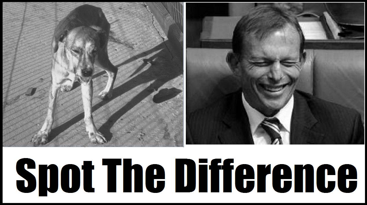 The best alternative - WTF?