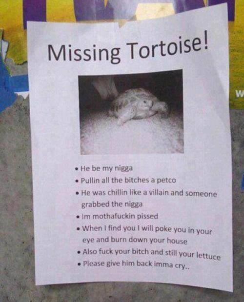 215499 417336864999058 487334018 n