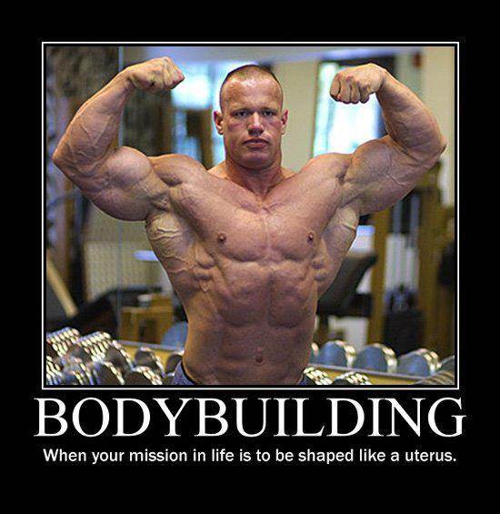 406436 2529505512652 710539049 n