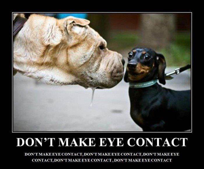 dontmakeeyecontact