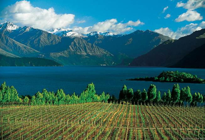 Screen Shot 2012-11-21 at 9.12.58 PM