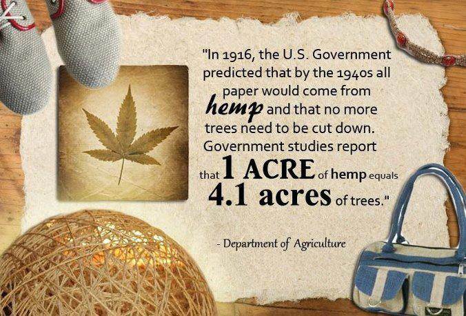 303694 502920579736175 1353008802 n