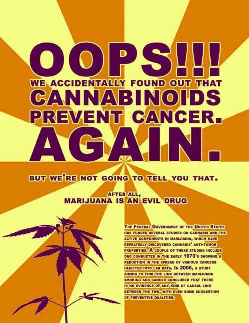 316801 320130988085531 803560474 n