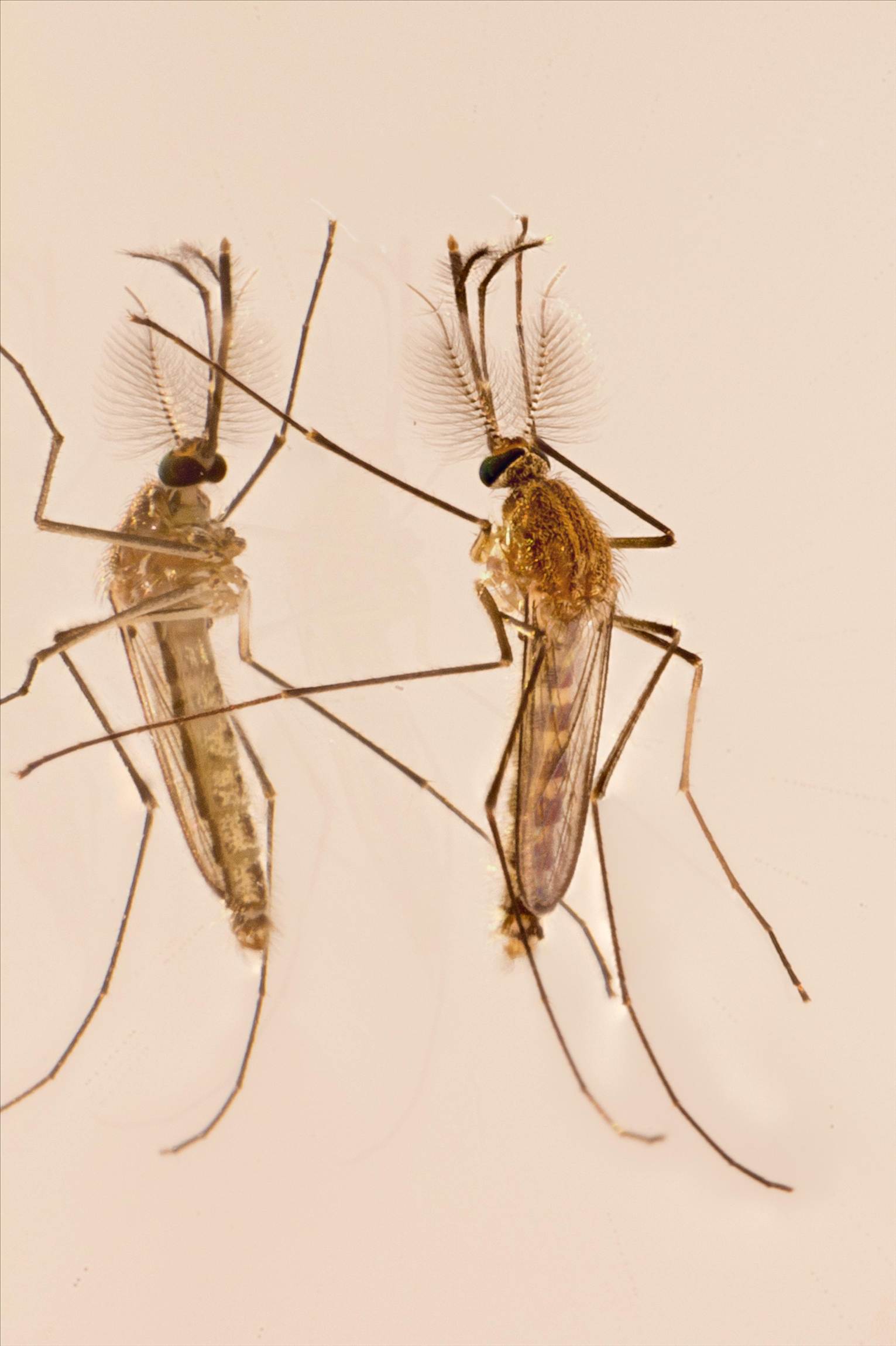 2012-12-01-14.52.50 ZS retouched