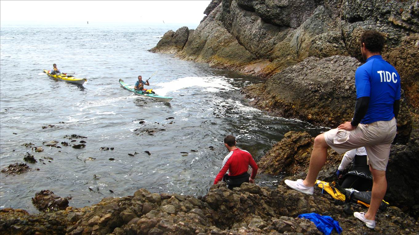 Landing 6 composite sea kayaks on Albatross Island