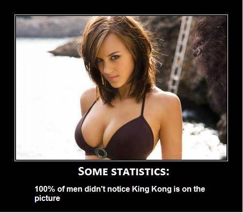 810funny images funny pic