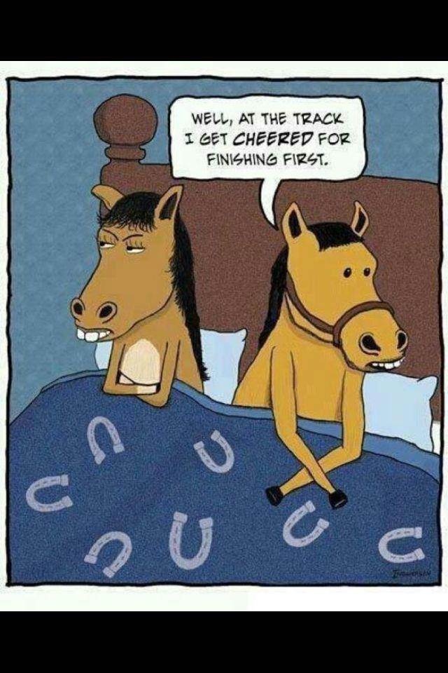 68952 448777488527485 2095722943 n