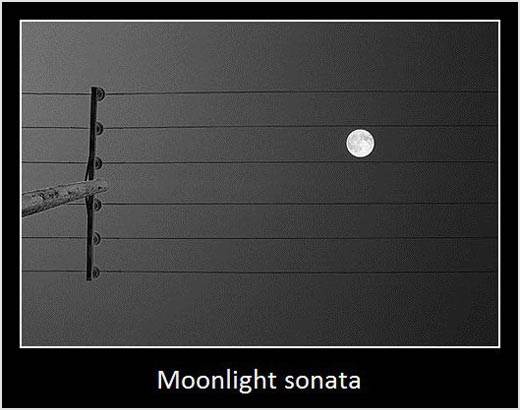 cool-night-moon-song