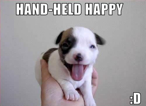 funny-cute-tiny-puppy-dog-smiling