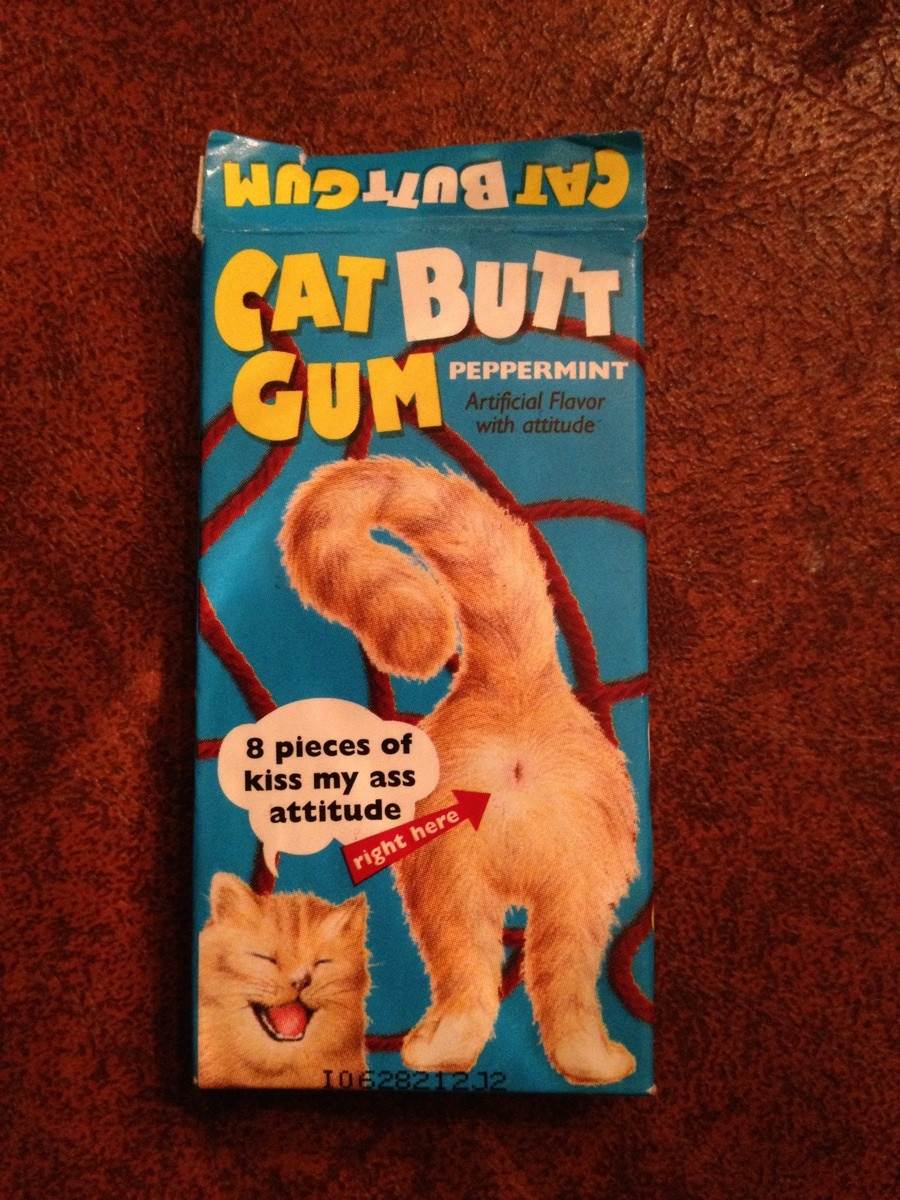 cats butt