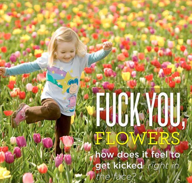 Flowers 41b64c 4510010