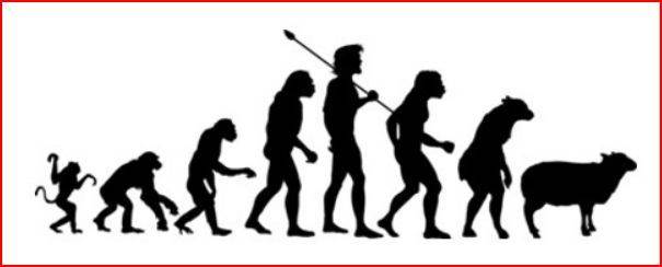 Evolution of Sheeple