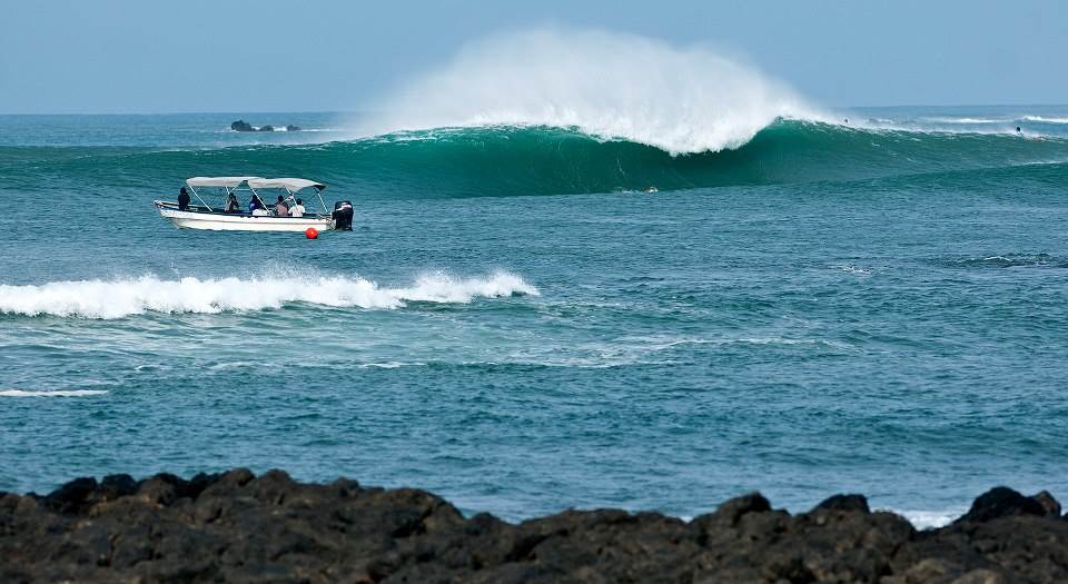 945954 10151446089939930 1157181505 n