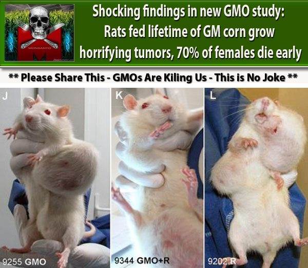 527641 282326001880847 939733025 n