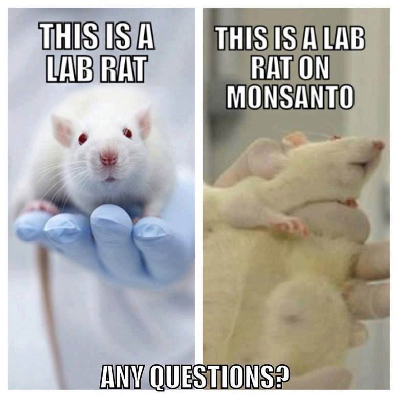 481871 636220533073700 1117457818 n