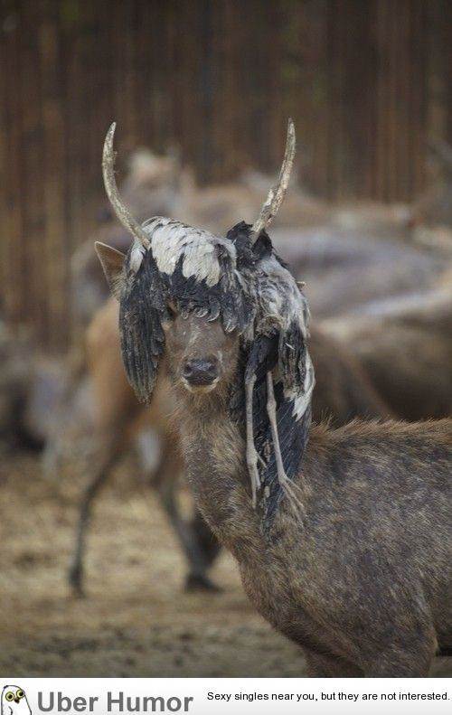 photos-escalated-quickly-13