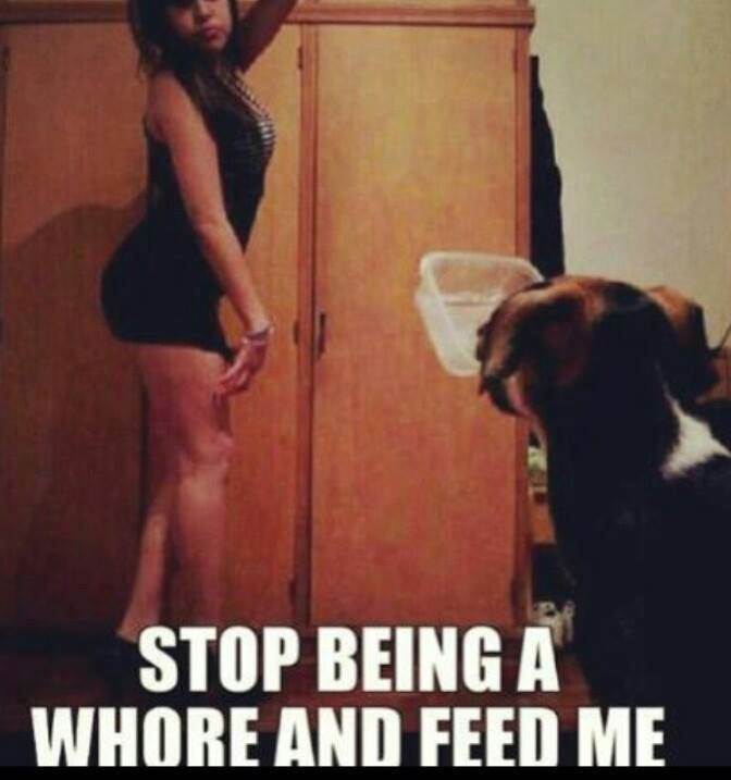 993654 607497745982968 1970199478 n