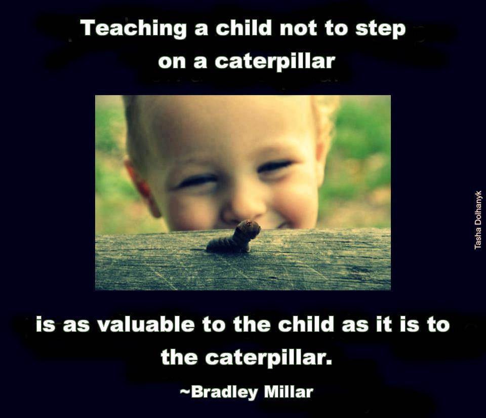 426727 600911926602286 2034008277 n