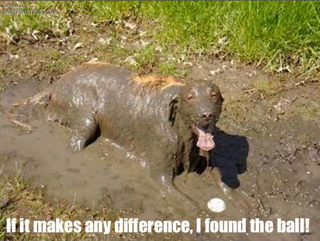 1011424 10152975915420534 395757396 n