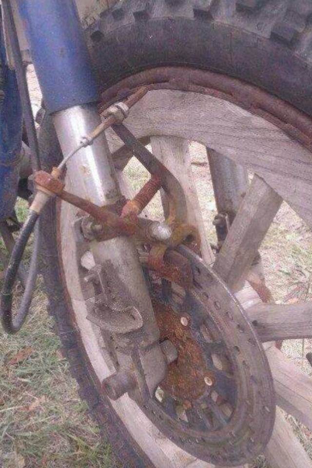 1453516 543373779071019 1814681372 n