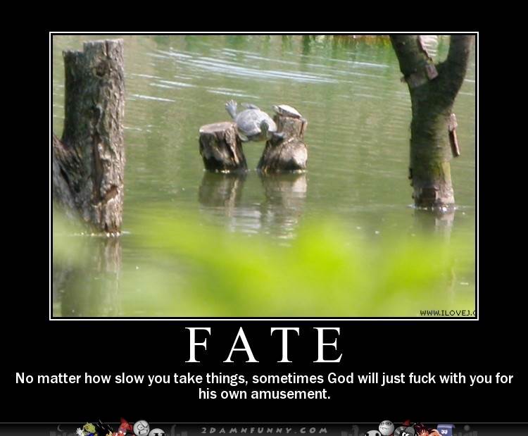 Poor-Turtle-Is-Stuck-In-Natures-Twisted-traps